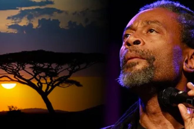 4_bobby mcferrin