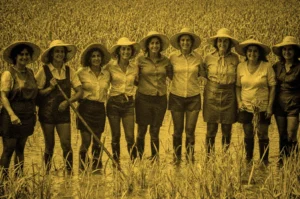 286_le mondine