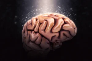291_Connettività cerebrale nei cantanti