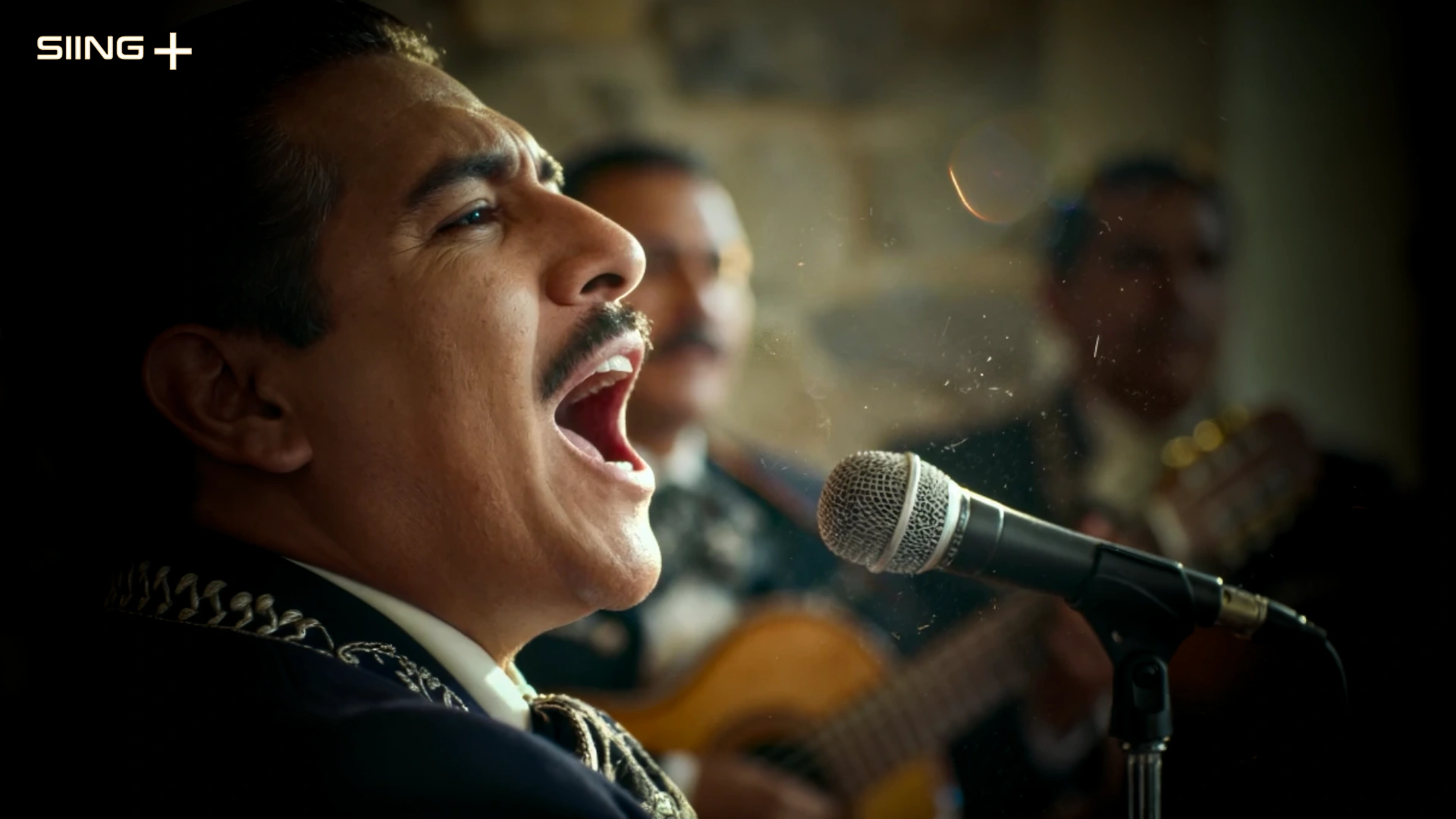 354 Mariachi 354 Mariachi