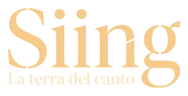 Siing.net